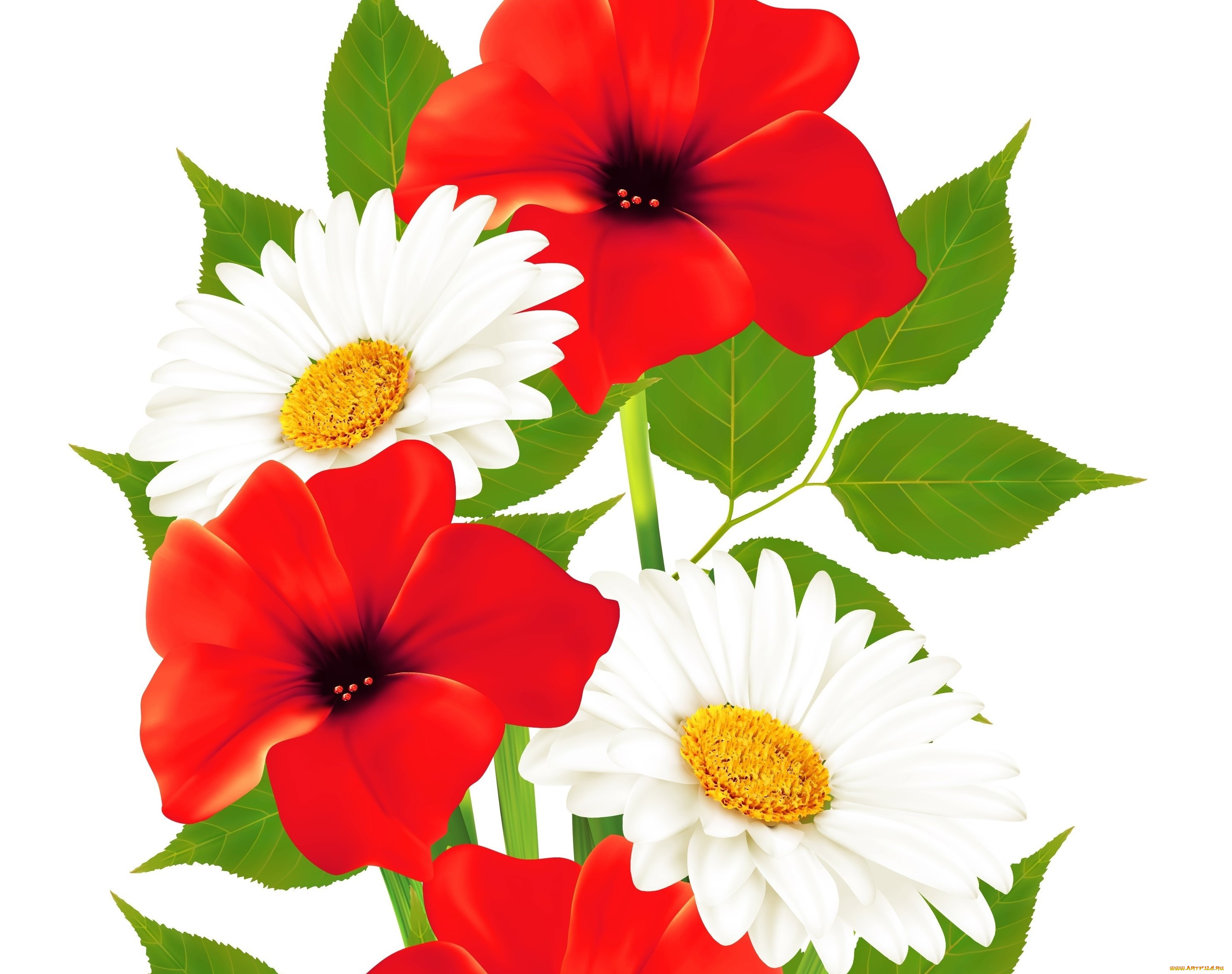  ,  , flowers, , , 